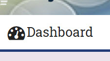 Dashboard control and icon screen capture